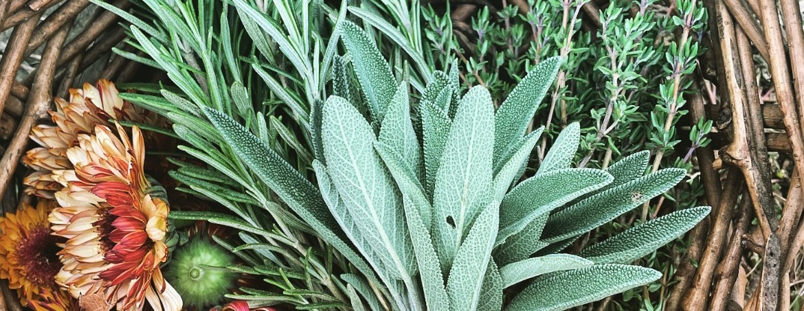 Autumn Herbal Foraging with Jade Alicandro